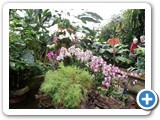 Návšteva botanickej záhrady (7)
